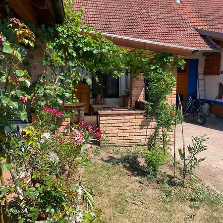 Adina Prázdninový dům Velké Pavlovice